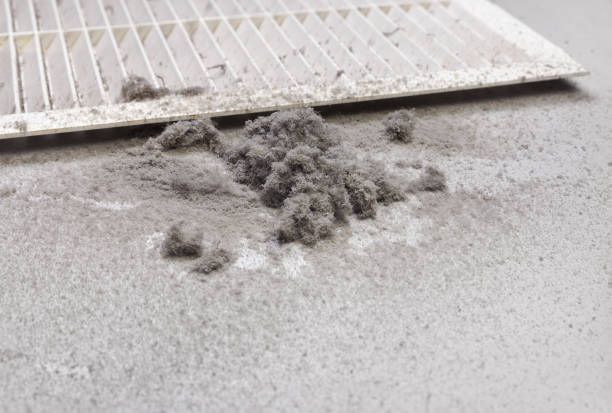Best Commercial Air Duct Cleaning  in Excelsior Springs, MO
